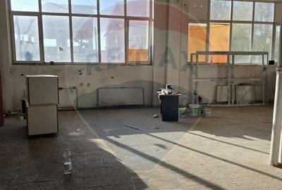 Spatii 200/430 mp lift marfa Baicului platforma industriala - 5