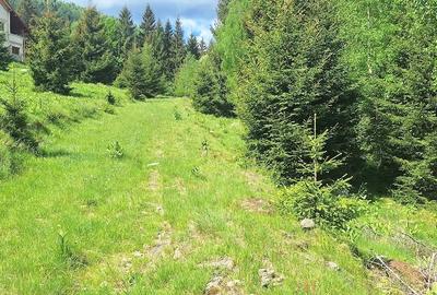 Teren de 300 mp, în Râu de Mori - 6