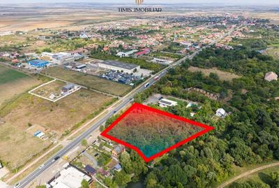 Teren 7.500 mp cu FS 91 m la E70 si Bega - ideal dezvoltare servicii - 8