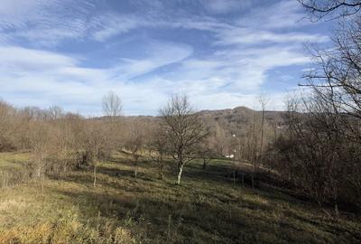 Spațiu comercial, în Central - 2