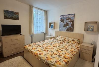 Apartament cu 2 camere semidecomandat în Central - 5