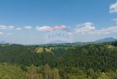 Teren Panoramic in Bran Vedere spre Bucegi & Piatra C... - 12