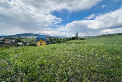 Teren agricol intravilan de 3000 mp, în Ciritei - 3
