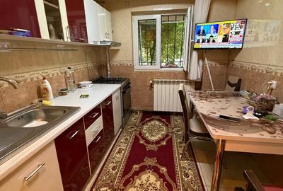 Dristor Nicolae Grigorescu - 9