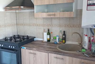 Casa de vanzare langa Bucuresti - Bacu, Joita - 4