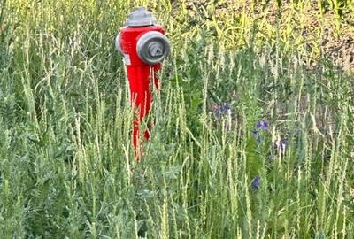 Teren Construcții intravilan de 9100 mp, în Răcari - 7