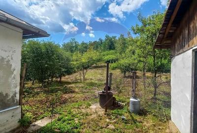 Teren Intravilan de vanzare 3551mp Poiana Copaceni Com Gura Vitioarei - 21