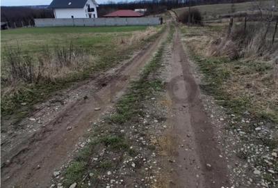 Teren în Betfia - 5