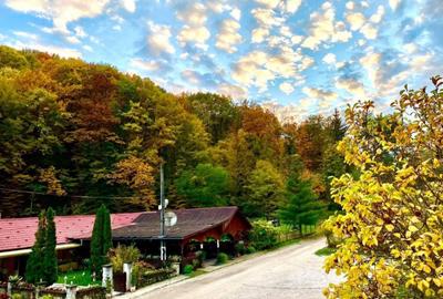 Teren pentru investitii 11.000 mp - 5