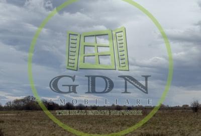 Teren agricol extravilan de 1000 mp, în Avrig - 1