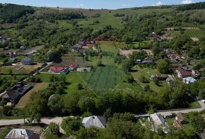 Teren de vanzare -Parava - DRAGUSANI - 2