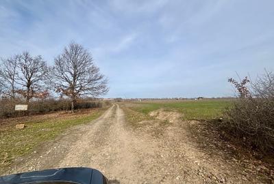 Teren Construcții intravilan de 802 mp, în Pișchia - 8