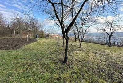 Casă individuală cu 2 camere cu Canalizare în Tudor - 3