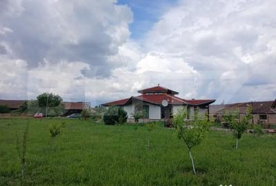 Casă cu 7 camere cu Teren 9245 Mp în Tinca - 1