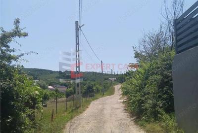 Teren intravilan lot casa Barnova - 3