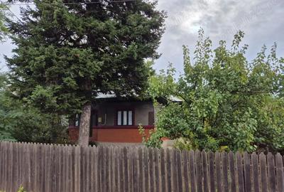 Casă cu 4 camere cu Teren 3682 Mp în Radu Vodă - 4