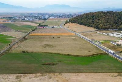 FILM! 60.000 mp, teren intravilan, acces la DN1, Codlea, Brasov - 10