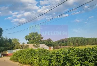 Teren de 4200 mp, în Teișori - 14