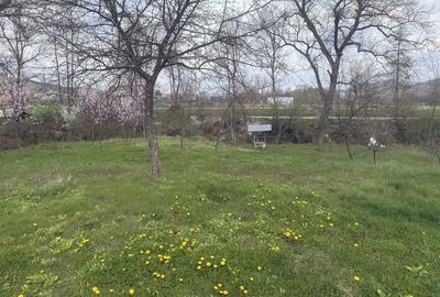 Spațiu comercial, în Vlădești - 6