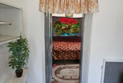 Casa la curte lângă balta Mostistea Casa la curte lângă balta Mostistea - 6