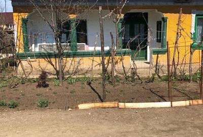 Casă cu Teren 2475 Mp în Central - 4