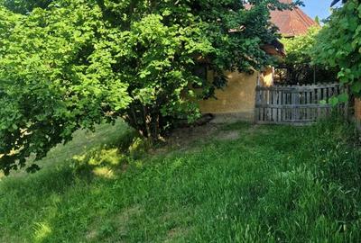 Teren de vanzare in comuna Cicane?ti, sat Bara?ti, jude? Arge?. - 8