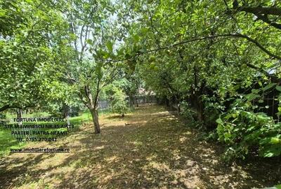 Proprietate D-va Rosie, pretabila pentru activitati economice/locuit - 9