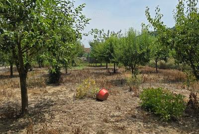 Casă cu 6 camere în Leșnic - 5