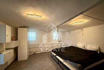 Apartament renovat cu o camera si curte, 2 bai, 50 mp, Pi... - 3