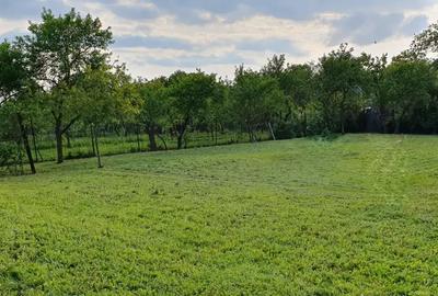 De vanzare casa Ortisoara - 2