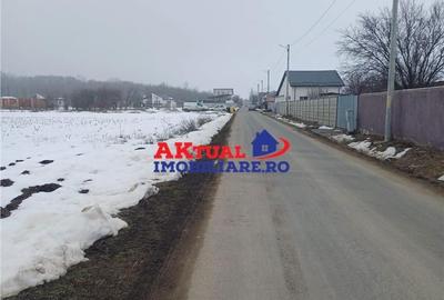 Teren de 8100 mp, în Domnești - 5