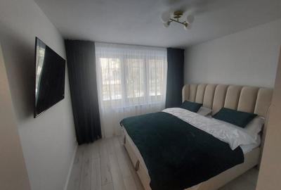 Apartament cu 2 camere decomandat, mobilat în Brazda lui Novac