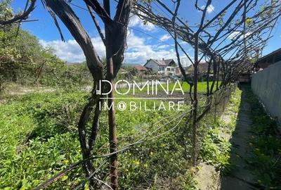 Casă cu 4 camere cu Teren 1623 Mp în Central - 1