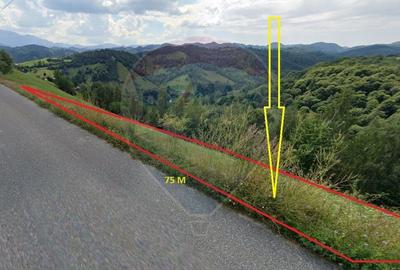 Teren agricol extravilan de 2000 mp, în Peștera - 1