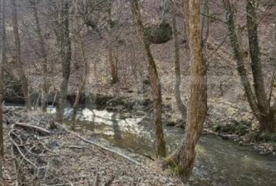 Casă cu 4 camere cu Teren 750 Mp în Hunedoara - 7