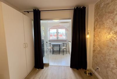 Apartament cu 1 camere semidecomandat, mobilat în Theodor Pallady - 7