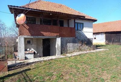 Casă cu Teren 6996 Mp în Cerișor - 2