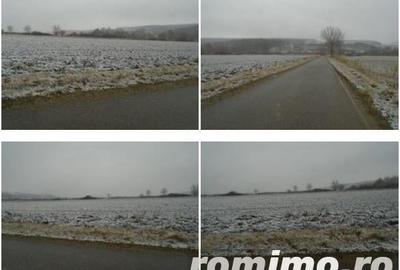 Teren Extravilan Corbita, ID: R1966425 - 2