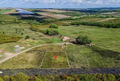 Teren intravilan de vanzare 902 mp, Paleu, Bihor | PUZ aprobat - 4