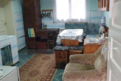 Casă cu 3 camere cu Teren 1200 Mp în Făget - 1