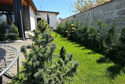 Casă cu 4 camere cu Teren 800 Mp în Noua - 6