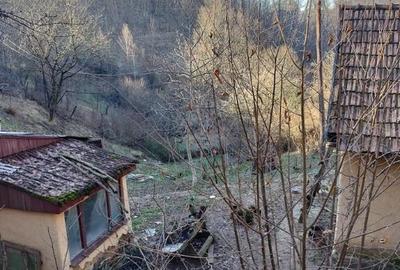 Casă cu 2 camere cu Teren 7500 Mp în Valea Roșie - 4