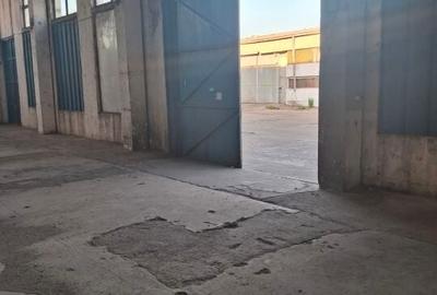 Spatii depozitare /productie Linia de Centura Leordeni-Glina - 6