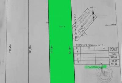 3 Ha Padurea Baneasa ZOO - Pipera - Schimb sau RATE - 4