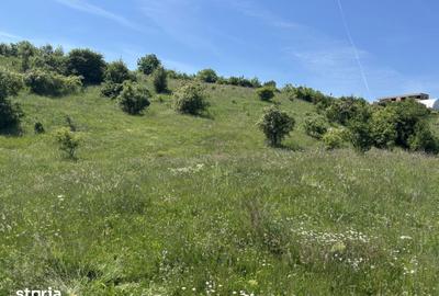 Teren de 900 mp, în Apahida - 3
