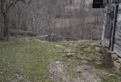 Casă cu 3 camere în Vale - 7