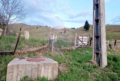 Teren Construcții intravilan de 941 mp, în Hangu - 23