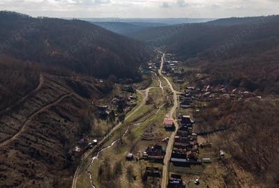 Teren de 302 mp, în Șoimoș - 6