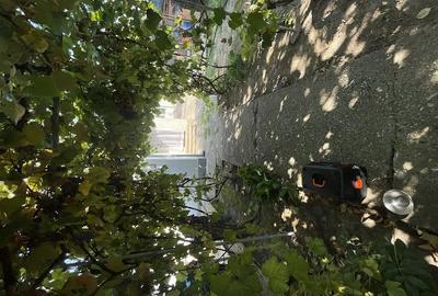 Casă cu 3 camere cu Teren 340 Mp în Central