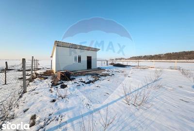 Teren de 4300 mp, în Sânpetru - 4